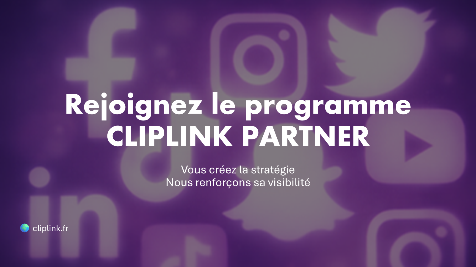CLIPLINK PARTNER