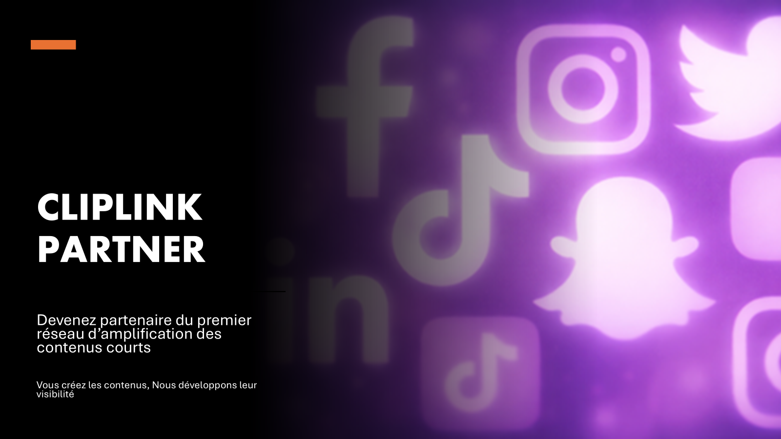 CLIPLINK PARTNER